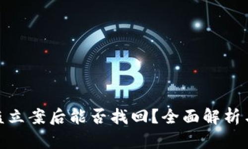 TP钱包被盗立案后能否找回？全面解析与应对措施