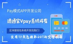 使用TP钱包提取DOT的完整指