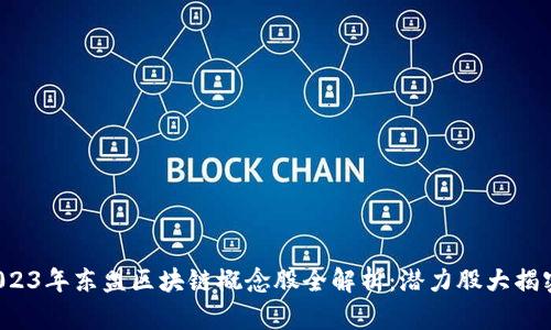 2023年东盟区块链概念股全解析：潜力股大揭密！