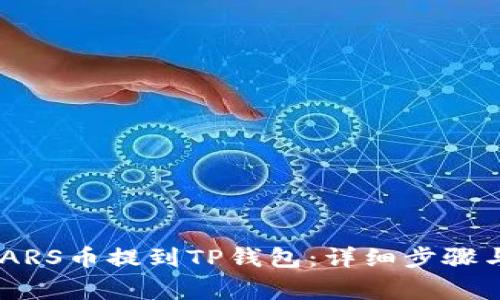 如何将SMARS币提到TP钱包：详细步骤与注意事项