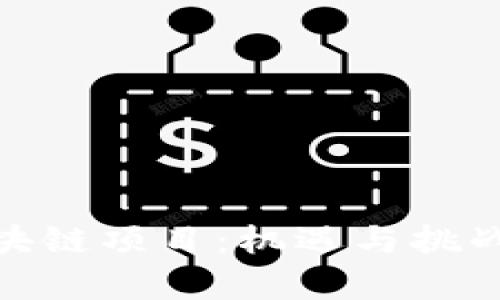 探索上海创投区块链项目：机遇与挑战并存的未来之路