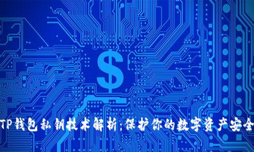 TP钱包私钥技术解析：保护你的数字资产安全
