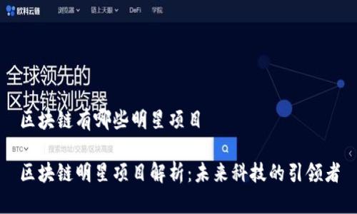 区块链有哪些明星项目

区块链明星项目解析：未来科技的引领者