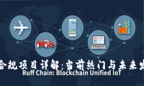 区块链合规项目详解：当前热门与未来发展趋势