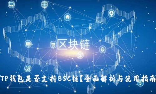 TP钱包是否支持BSC链？全面解析与使用指南