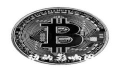 TP钱包价格波动的影响因素