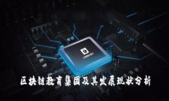 区块链教育集团及其发展