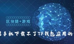 解决苹果手机下载不了T