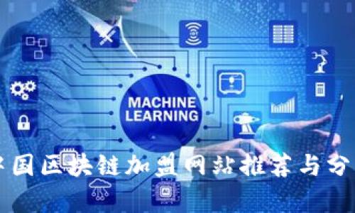 中国区块链加盟网站推荐与分析