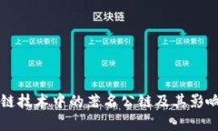 区块链技术中的著名公链