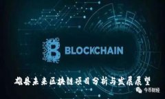 雄县未来区块链项目分析