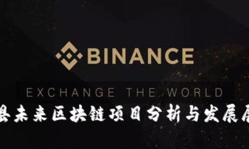 雄县未来区块链项目分析与发展展望