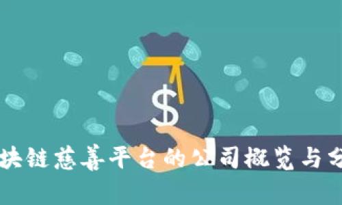 区块链慈善平台的公司概览与分析