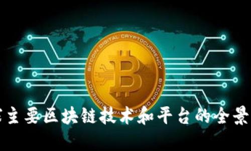 全球主要区块链技术和平台的全景介绍