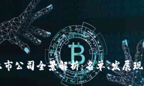 长沙区块链上市公司全景解析：名单、发展现状与未来展望