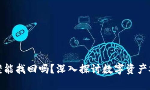 tp钱包被盗立案能找回吗？深入探讨数字资产安全与救济途径