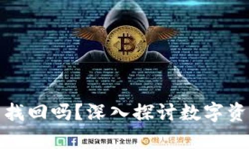 tp钱包被盗立案能找回吗？深入探讨数字资产安全与救济途径