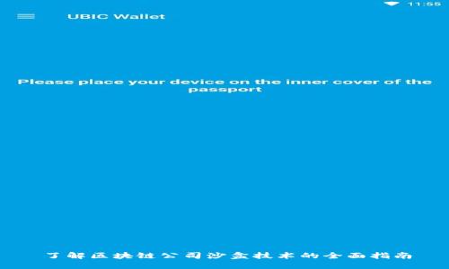 了解区块链公司沙盒技术的全面指南