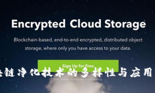 区块链净化技术的多样性与应用前景