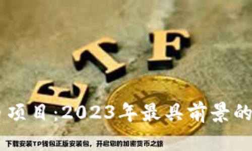 了解区块链币项目：2023年最具前景的数字资产分析