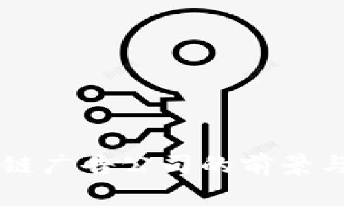 美国区块链广告公司的前景与市场分析