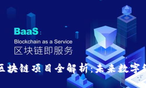 龙南综合区块链项目全解析：未来数字经济的蓝海