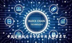 中国区块链项目全面分析