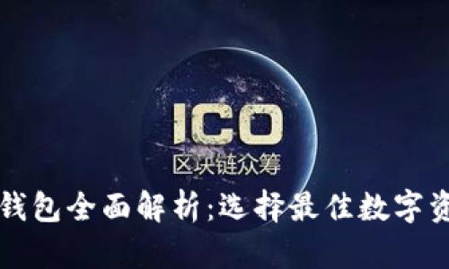 区块链公共钱包全面解析：选择最佳数字资产储存工具