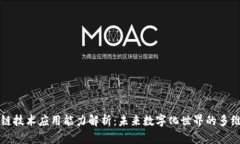 区块链技术应用能力解析