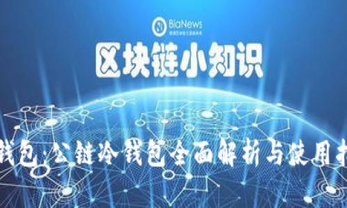 TP钱包：公链冷钱包全面解析与使用指南