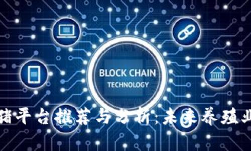 区块链养猪平台推荐与分析：未来养殖业的新机遇