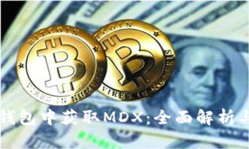 如何在TP钱包中获取MDX：全面解析与实用指南