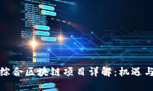 全南综合区块链项目详解：机遇与挑战