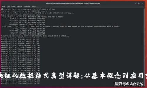 区块链的数据格式类型详解：从基本概念到应用实例