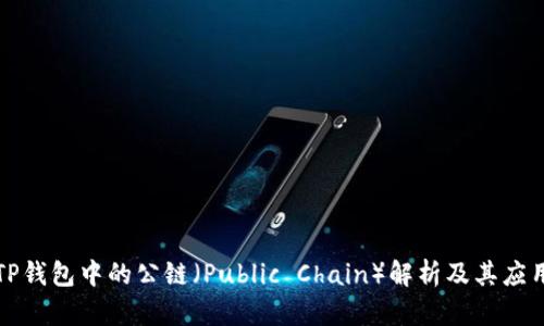 TP钱包中的公链（Public Chain）解析及其应用