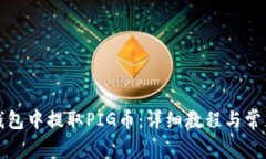 如何在TP钱包中提取PIG币：