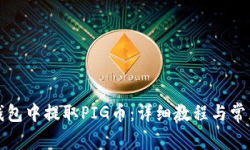如何在TP钱包中提取PIG币：详细教程与常见问题解答
