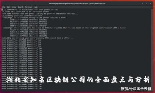 湖北省知名区块链公司的全面盘点与分析