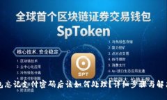 TP钱包忘记支付密码后该如