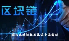 国内区块链技术流派全面