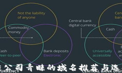 
区块链公司青睐的域名推荐与选择策略