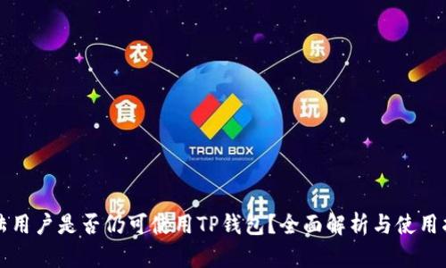 大陆用户是否仍可使用TP钱包？全面解析与使用指南
