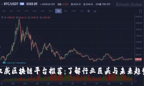 权威区块链平台推荐：了解行业巨头与未来趋势