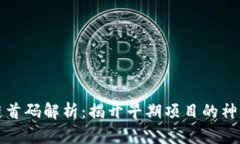 区块链首码解析：揭开早期项目的神秘面纱