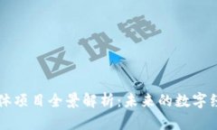 区块链个体项目全景解析：未来的数字经济新蓝