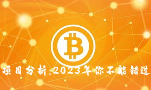 !--  --
区块链热门项目分析：2023年你不能错过的投资机会