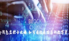 tp钱包监控全攻略：如何有效追踪您的