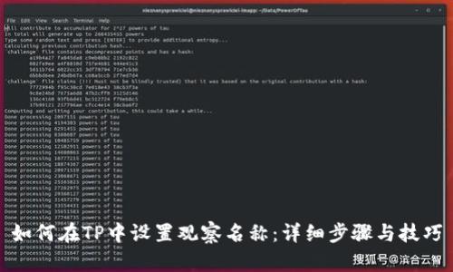 如何在TP中设置观察名称：详细步骤与技巧