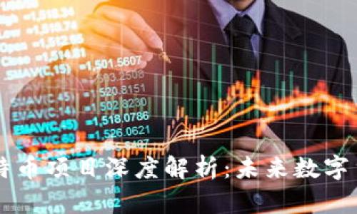 区块链比特币项目深度解析：未来数字货币的蓝图